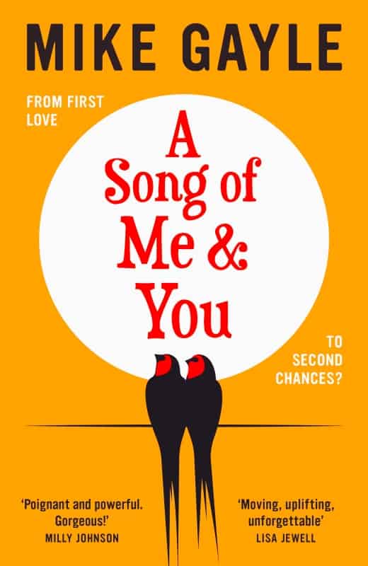 A Song of Me & You book jacket